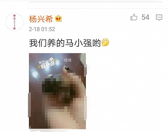 bevictor伟德官网 - 韦德官方网站