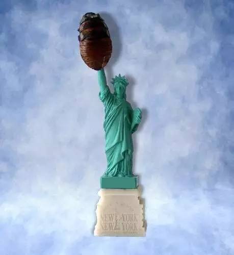 bevictor伟德官网 - 韦德官方网站