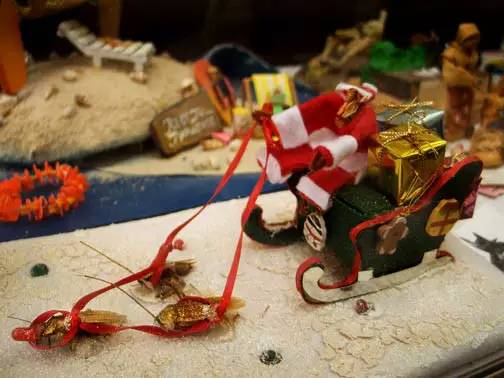 bevictor伟德官网 - 韦德官方网站