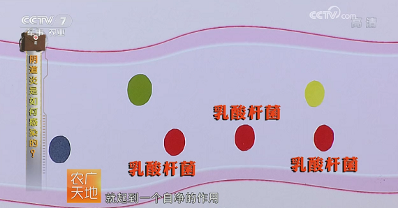 bevictor伟德官网 - 韦德官方网站