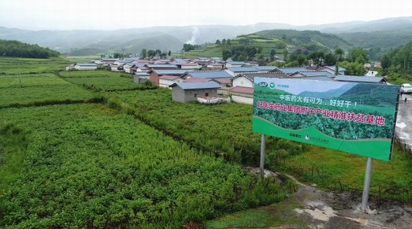 bevictor伟德官网 - 韦德官方网站