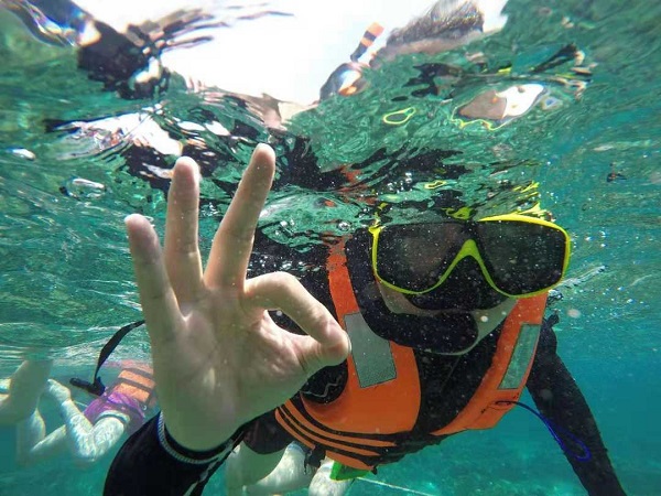 bevictor伟德官网 - 韦德官方网站