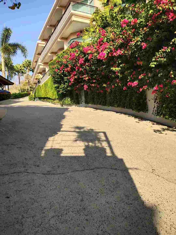 bevictor伟德官网 - 韦德官方网站