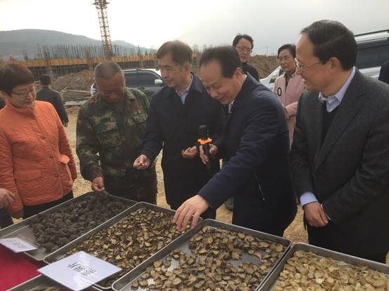 bevictor伟德官网 - 韦德官方网站