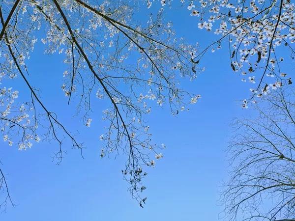 bevictor伟德官网 - 韦德官方网站