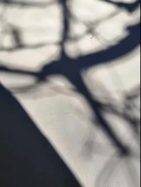 bevictor伟德官网 - 韦德官方网站