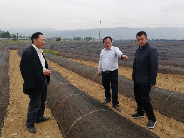 bevictor伟德官网 - 韦德官方网站