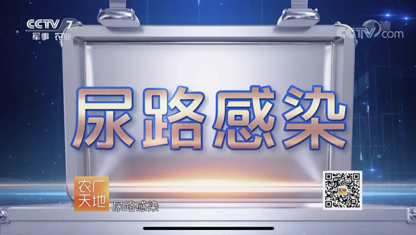 bevictor伟德官网 - 韦德官方网站