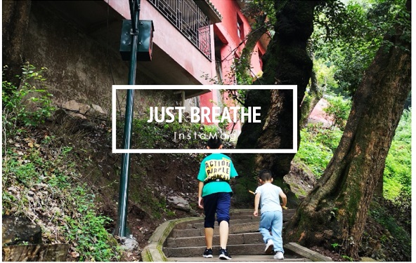 bevictor伟德官网 - 韦德官方网站