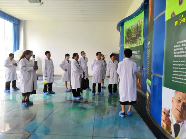 bevictor伟德官网 - 韦德官方网站