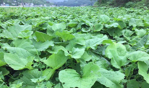 bevictor伟德官网 - 韦德官方网站