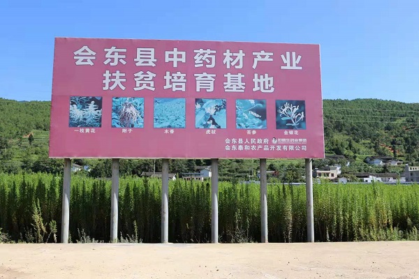 bevictor伟德官网 - 韦德官方网站