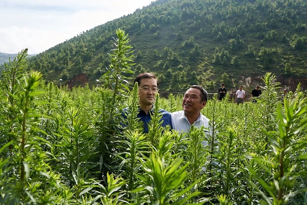 bevictor伟德官网 - 韦德官方网站