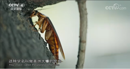 bevictor伟德官网 - 韦德官方网站