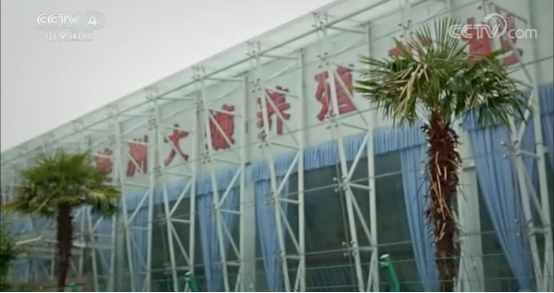 bevictor伟德官网 - 韦德官方网站