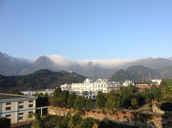 bevictor伟德官网 - 韦德官方网站