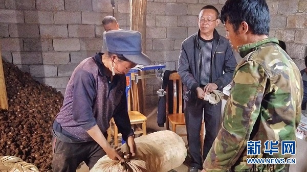 bevictor伟德官网 - 韦德官方网站