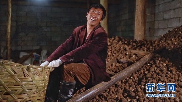 bevictor伟德官网 - 韦德官方网站