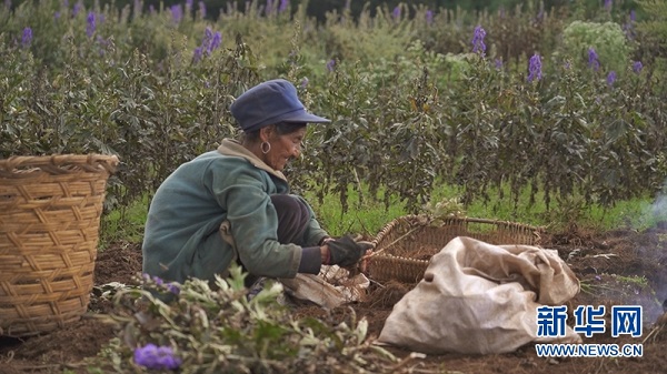 bevictor伟德官网 - 韦德官方网站