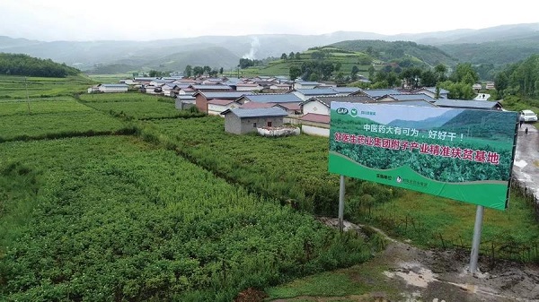 bevictor伟德官网 - 韦德官方网站