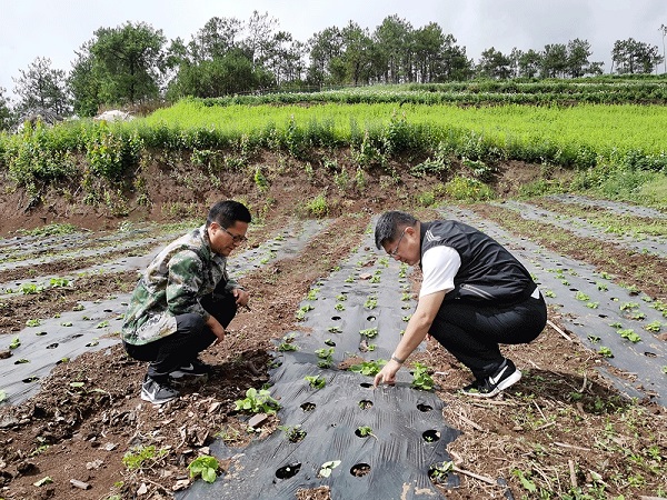 bevictor伟德官网 - 韦德官方网站