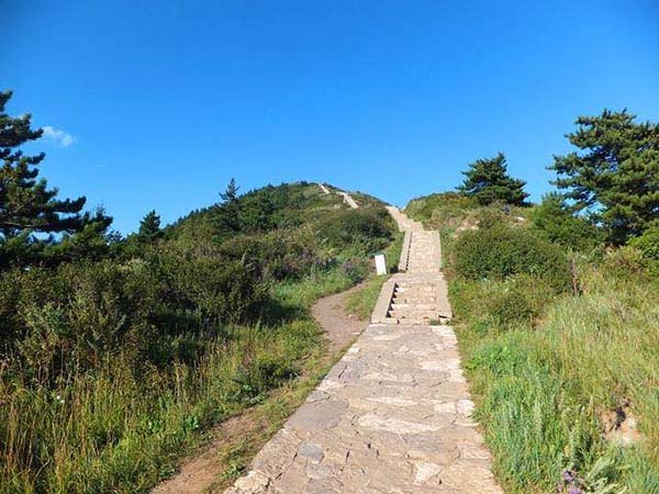 bevictor伟德官网 - 韦德官方网站