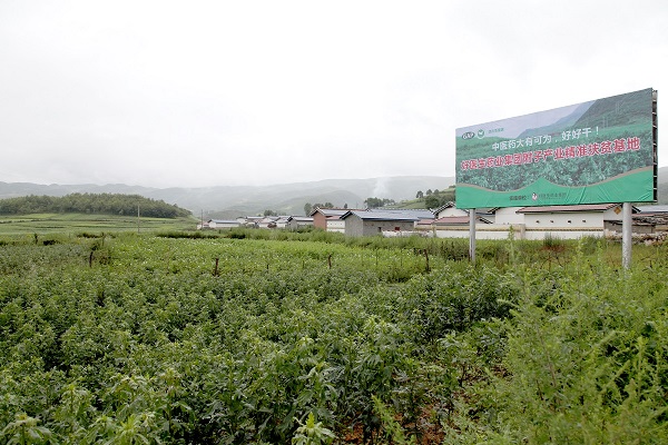 bevictor伟德官网 - 韦德官方网站