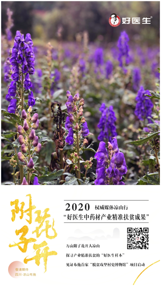 bevictor伟德官网 - 韦德官方网站