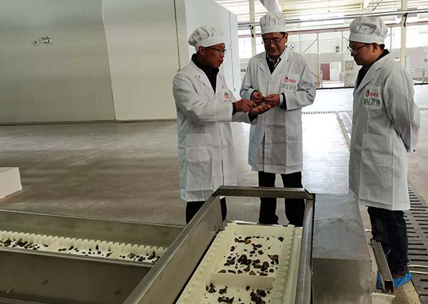 bevictor伟德官网 - 韦德官方网站