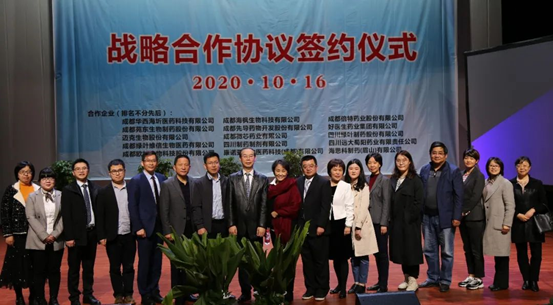 bevictor伟德官网 - 韦德官方网站