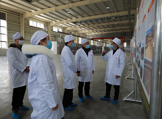 bevictor伟德官网 - 韦德官方网站