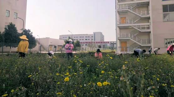 bevictor伟德官网 - 韦德官方网站