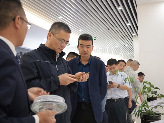 bevictor伟德官网 - 韦德官方网站