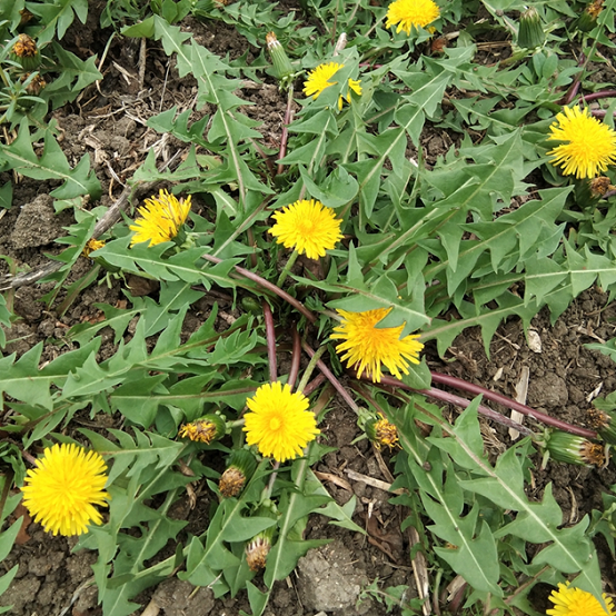 bevictor伟德官网 - 韦德官方网站