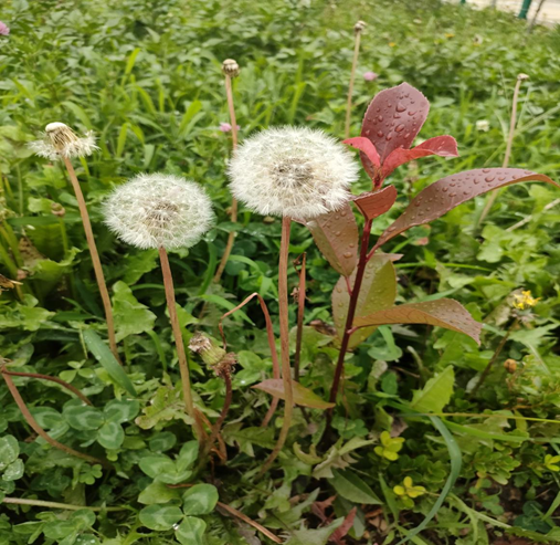 bevictor伟德官网 - 韦德官方网站