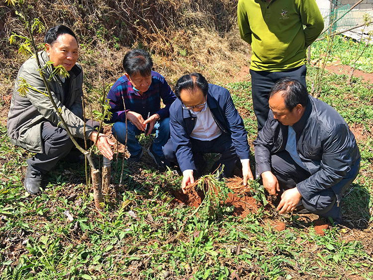 bevictor伟德官网 - 韦德官方网站