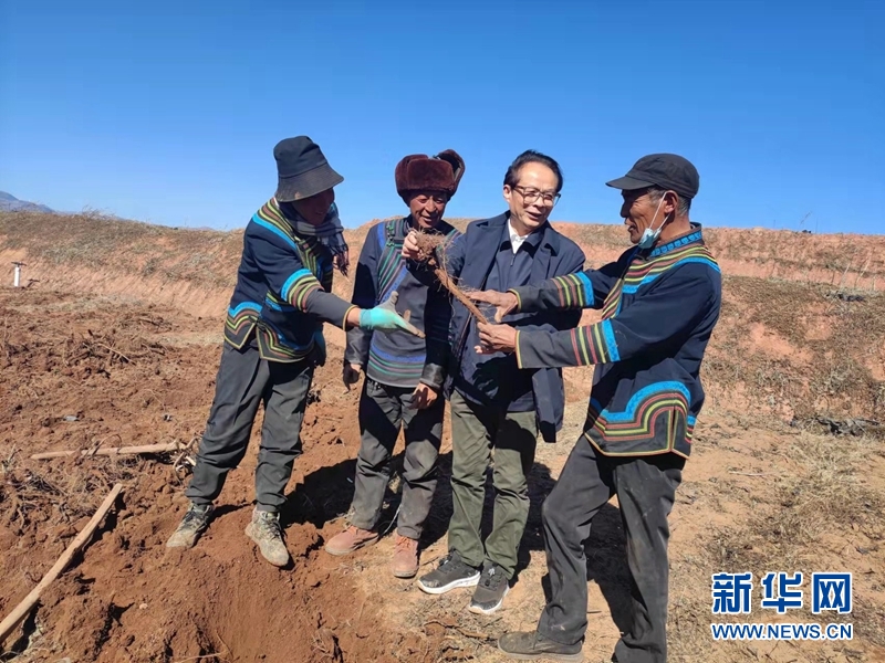 bevictor伟德官网 - 韦德官方网站