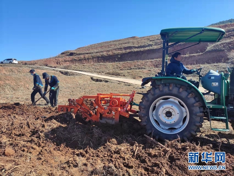 bevictor伟德官网 - 韦德官方网站