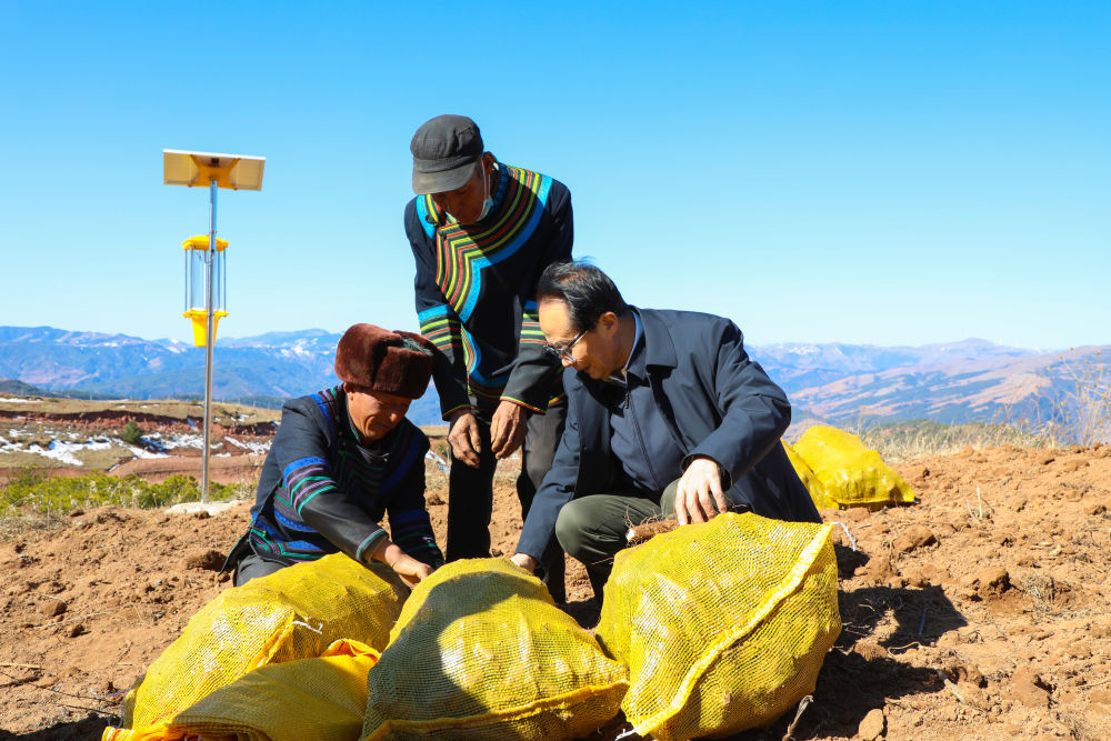 bevictor伟德官网 - 韦德官方网站