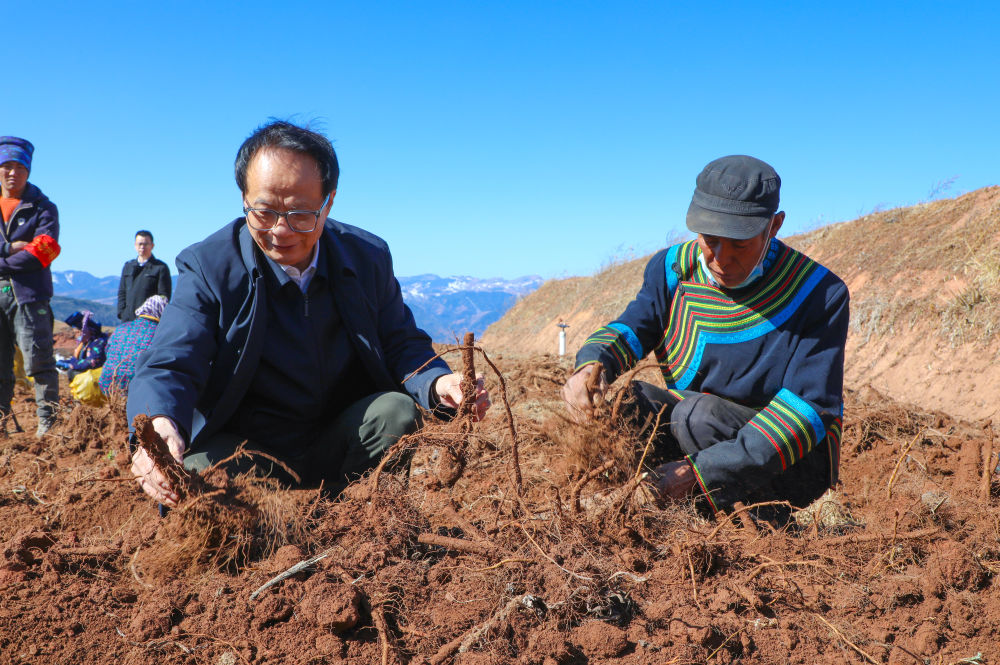 bevictor伟德官网 - 韦德官方网站