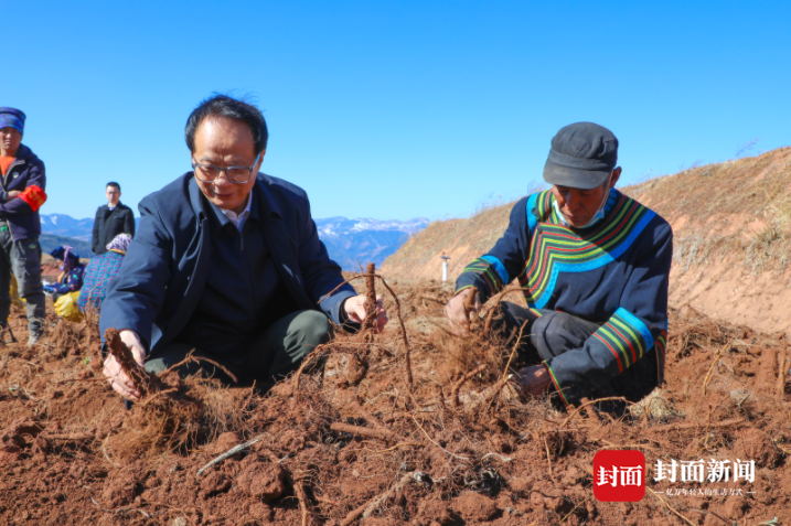 bevictor伟德官网 - 韦德官方网站