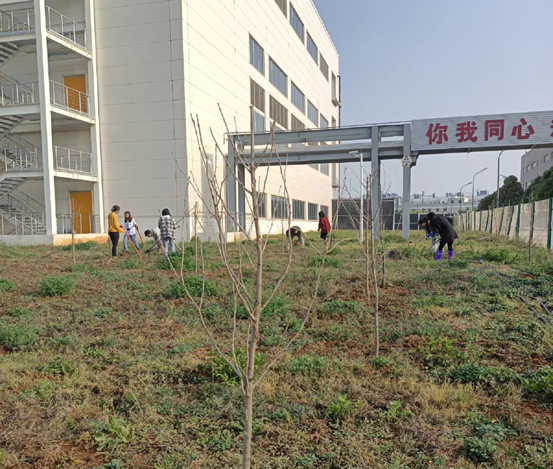 bevictor伟德官网 - 韦德官方网站