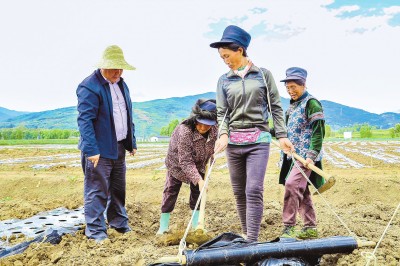 bevictor伟德官网 - 韦德官方网站