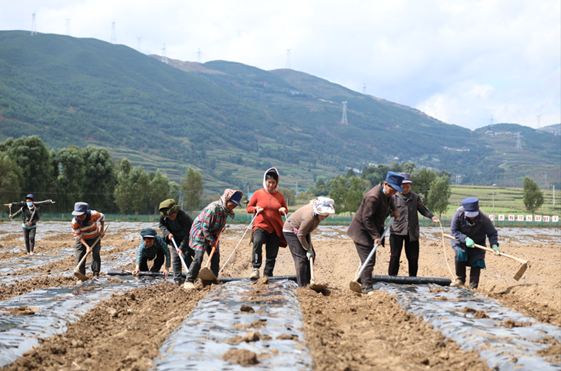 bevictor伟德官网 - 韦德官方网站