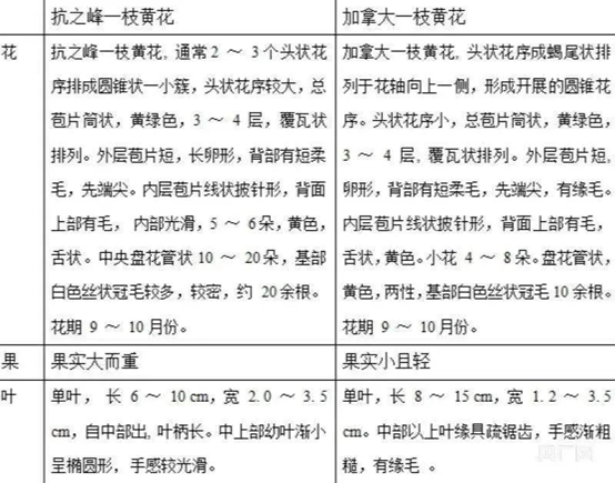 bevictor伟德官网 - 韦德官方网站