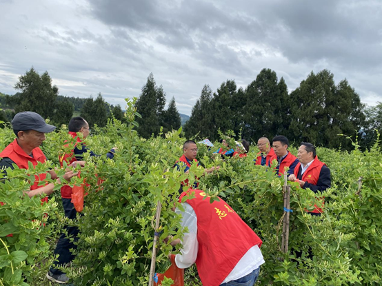 bevictor伟德官网 - 韦德官方网站