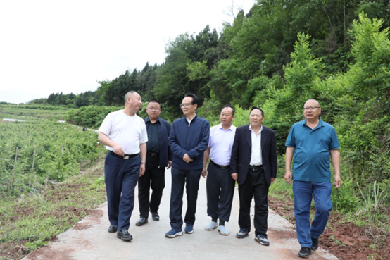 bevictor伟德官网 - 韦德官方网站