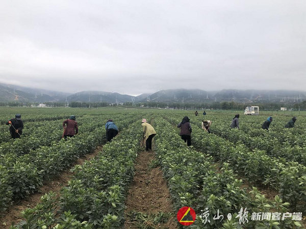 bevictor伟德官网 - 韦德官方网站