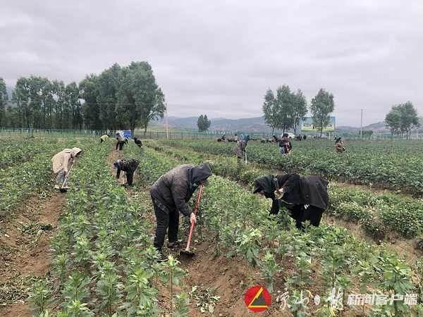 bevictor伟德官网 - 韦德官方网站